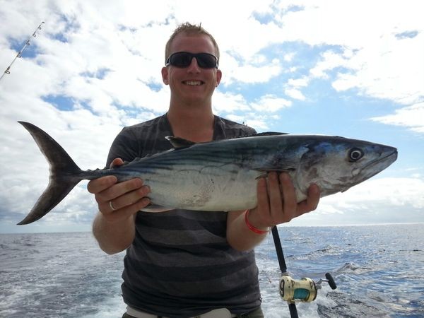 Nordatlantischer Bonito Cavalier & Blue Marlin Sport Fishing Gran Canaria