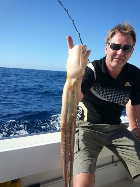 Bläckfisk - Flemming Hansen från Danmark Cavalier & Blue Marlin Sport Fishing Gran Canaria