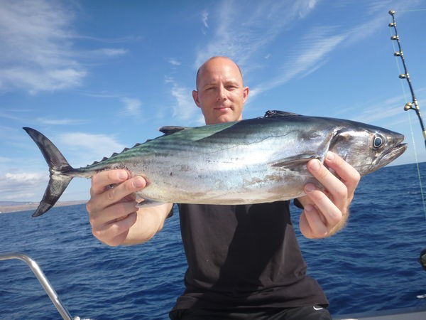 Bonito atlántico Cavalier & Blue Marlin Sport Fishing Gran Canaria