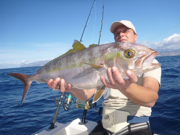 Amberjack - Greater Amberjack caught by Sander Martens on the Cavalier Cavalier & Blue Marlin Sport Fishing Gran Canaria