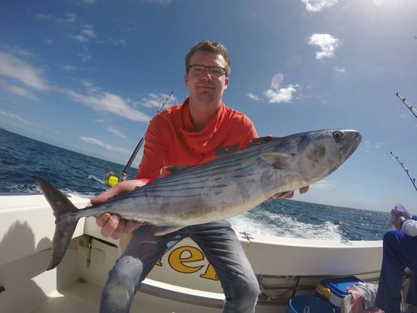 Bonito del Atlántico Norte capturado por Patrick Elzinga de Holanda Pesca Deportiva Cavalier & Blue Marlin Gran Canaria