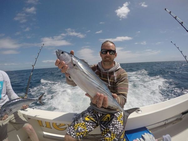 North Atlantic Bonito caught by José Ignacio from Las Palmas Cavalier & Blue Marlin Sport Fishing Gran Canaria