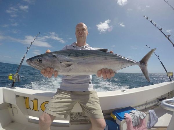 North Atlantic Bonito caught by Nick Migchelsen from Holland Cavalier & Blue Marlin Sport Fishing Gran Canaria