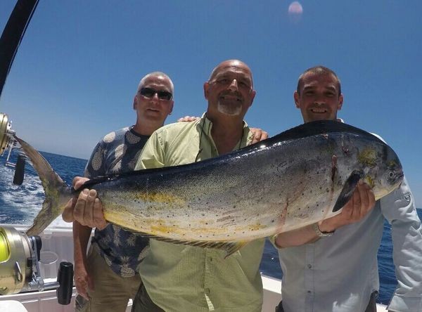 230 kg Blue Marlin von Adam Svoboda aus Schottland Cavalier & Blue Marlin Sport Fishing Gran Canaria