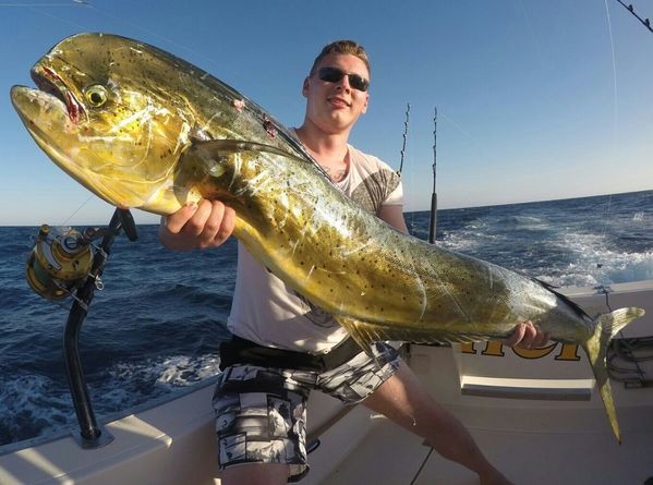 Dorado caught on the Cavalier  by Sebastian Schaer  from Germany Cavalier & Blue Marlin Sport Fishing Gran Canaria