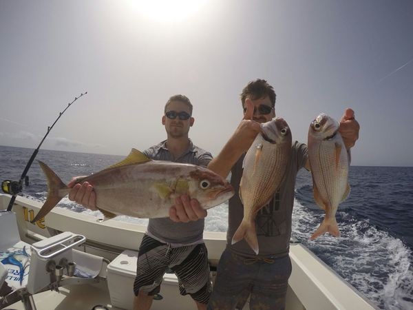 Schöner Fang - Amberjack & Snappers von Duncan und Stuart Brown gefangen Cavalier & Blue Marlin Sport Fishing Gran Canaria