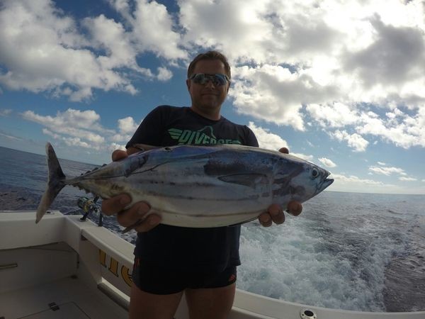Archivo Fotográfico Octubre 2015 Cavalier & Blue Marlin Sport Fishing Gran Canaria