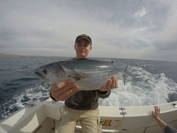 North Atlantic Bonito caught by Willi Kloohs from Germany Cavalier & Blue Marlin Sport Fishing Gran Canaria