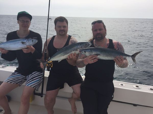 North Atlantic Bonito - Congratulations Cavalier & Blue Marlin Sport Fishing Gran Canaria