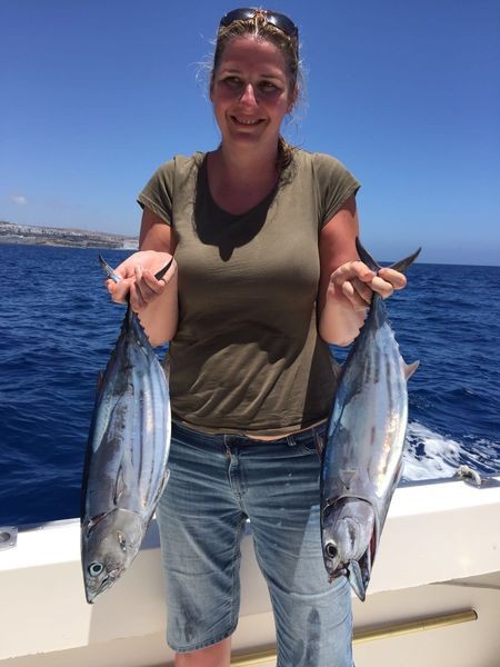 Stipjack tonfisk Cavalier & Blue Marlin Sport Fishing Gran Canaria