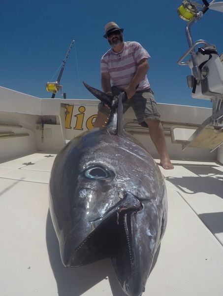 Atún Big Eye - 100 kg Atún Big Eye capturado por Jon Gregory Cavalier & Blue Marlin Sport Fishing Gran Canaria