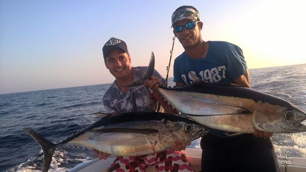 Albacore Tuna - Albacore tUna on the boat Cavalier Cavalier & Blue Marlin Sport Fishing Gran Canaria