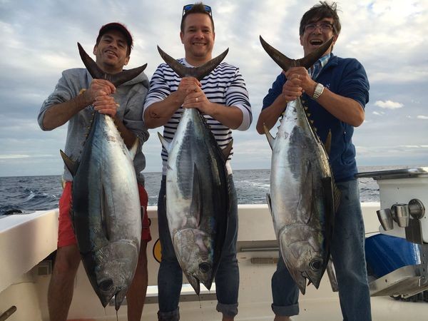 3 Thunfisch mit großen Augen Cavalier & Blue Marlin Sport Fishing Gran Canaria