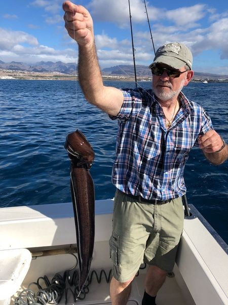 Moray marrón Cavalier & Blue Marlin Sport Fishing Gran Canaria