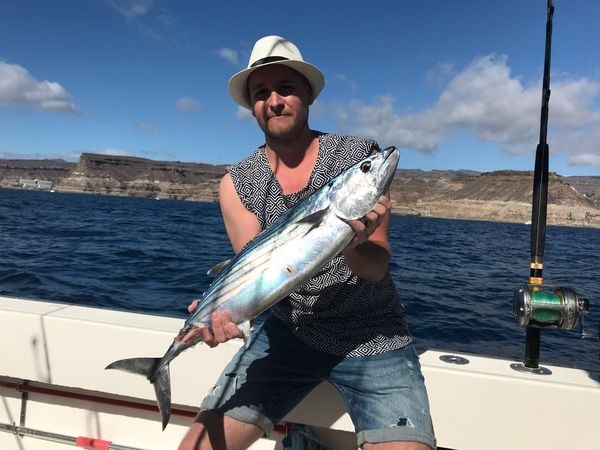 Atún Sierra Cavalier & Blue Marlin Sport Fishing Gran Canaria