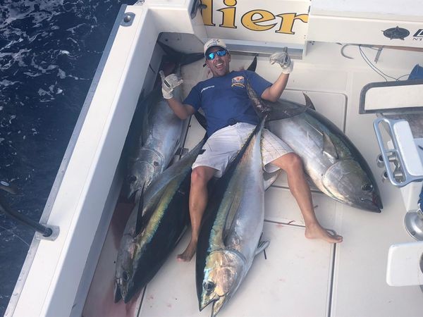 300 kg Tuna Cavalier & Blue Marlin Sport Fishing Gran Canaria