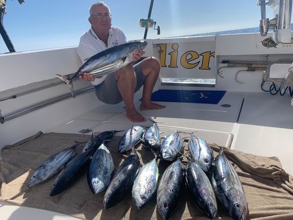 Dezember Fotoarchiv 2019 Cavalier & Blue Marlin Sport Fishing Gran Canaria