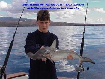 Tiburon martillo Cavalier & Blue Marlin Sport Fishing Gran Canaria