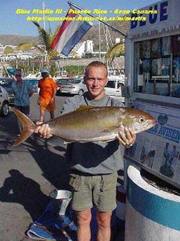 kingfish Cavalier & Blue Marlin Sport Fishing Gran Canaria