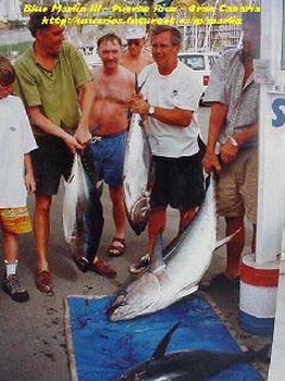 albacore & big eye tuna Cavalier & Blue Marlin Sport Fishing Gran Canaria