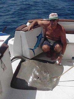 gewöhnlicher Stachelrochen Cavalier & Blue Marlin Sport Fishing Gran Canaria
