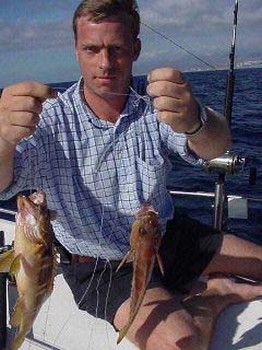 comber Cavalier & Blue Marlin Sport Fishing Gran Canaria