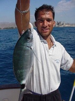 besugo blanco Cavalier & Blue Marlin Sport Fishing Gran Canaria