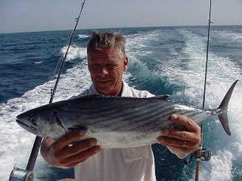 bonito del atlántico norte Cavalier & Blue Marlin Sport Fishing Gran Canaria