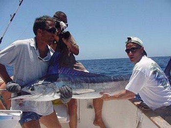 spjutfisk Cavalier & Blue Marlin Sport Fishing Gran Canaria