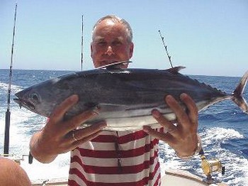 skipjack tuna Cavalier & Blue Marlin Pesca sportiva Gran Canaria