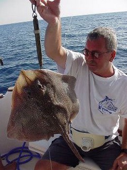 madeira ray Cavalier & Blue Marlin Sport Fishing Gran Canaria