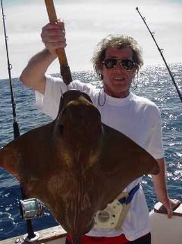 Adlerrochen Cavalier & Blue Marlin Sport Fishing Gran Canaria