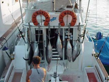 Albacore Thunfisch Cavalier & Blue Marlin Sport Fishing Gran Canaria
