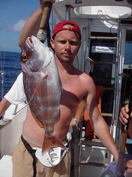 rödbandad havsbrasa Cavalier & Blue Marlin Sport Fishing Gran Canaria
