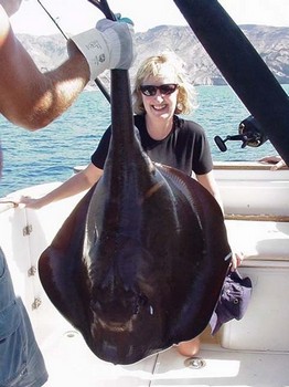 schwarzer Stachelrochen Cavalier & Blue Marlin Sport Fishing Gran Canaria