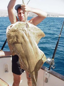 Engelhai Cavalier & Blue Marlin Sport Fishing Gran Canaria