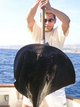 black stingray Cavalier & Blue Marlin Sport Fishing Gran Canaria