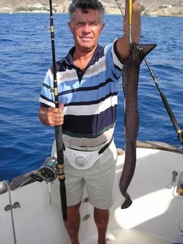 brown stingray Cavalier & Blue Marlin Sport Fishing Gran Canaria