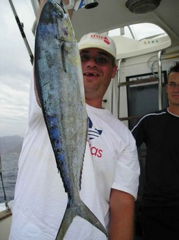 dorado Cavalier & Blue Marlin Sport Fishing Gran Canaria