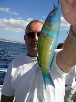 wrasse Cavalier & Blue Marlin Sport Fishing Gran Canaria