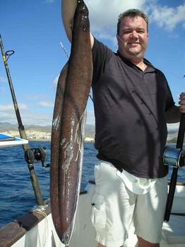 brun moray ål Cavalier & Blue Marlin Sport Fishing Gran Canaria
