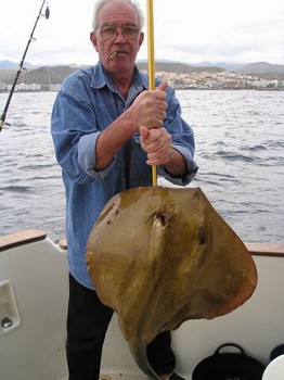 vanlig stingray Cavalier & Blue Marlin Sport Fishing Gran Canaria