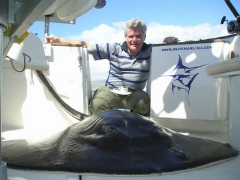 runder Stachelrochen Cavalier & Blue Marlin Sportfischen Gran Canaria