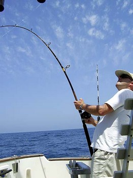 enganchado Cavalier & Blue Marlin Sport Fishing Gran Canaria