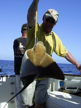 rayo de águila Cavalier & Blue Marlin Sport Fishing Gran Canaria