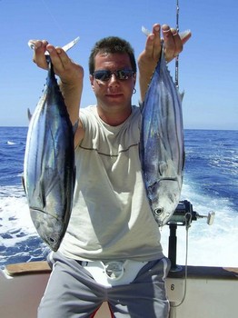 skipjack tonfisk Cavalier & Blue Marlin Sport Fishing Gran Canaria