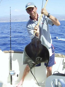 eagle ray Cavalier & Blue Marlin Sport Fishing Gran Canaria
