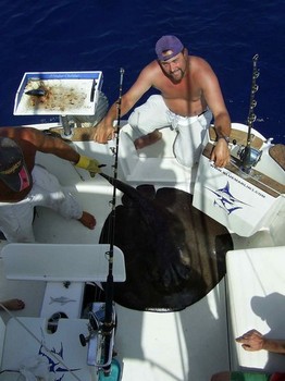 runder Stachelrochen Cavalier & Blue Marlin Sportfischen Gran Canaria