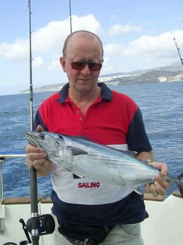 bonito del atlántico norte Pesca Deportiva Cavalier & Blue Marlin Gran Canaria