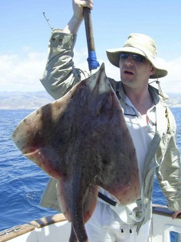 thornback ray Cavalier & Blue Marlin Sport Fishing Gran Canaria